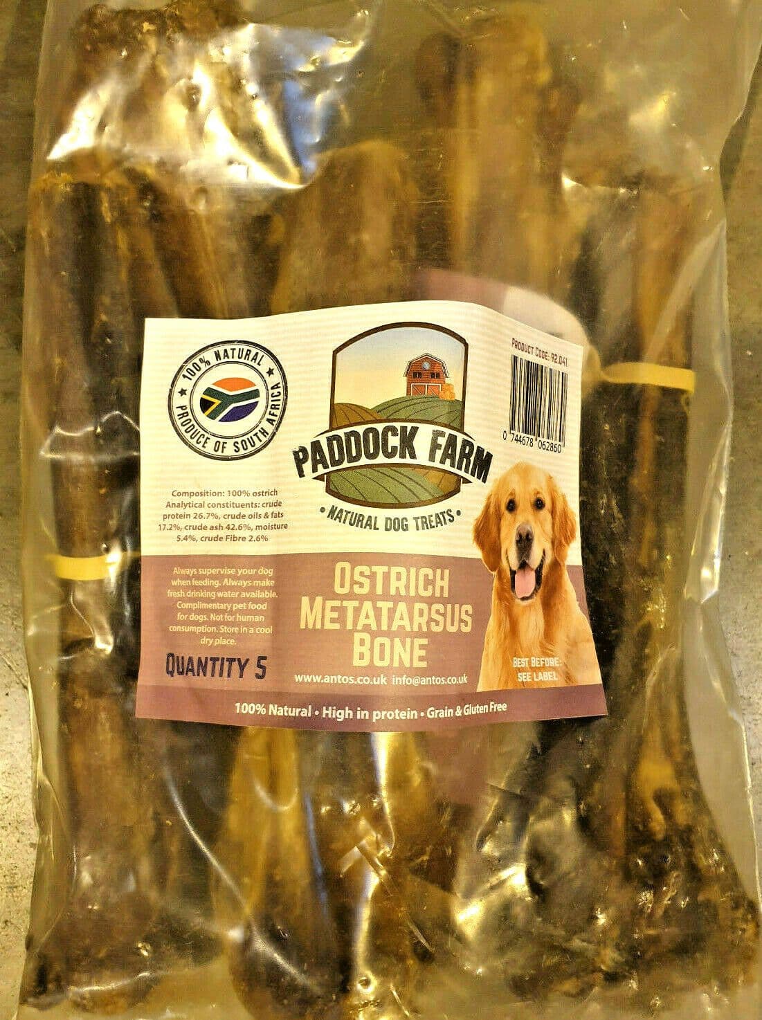Paddock Farm Ostrich Matatarsus Bone