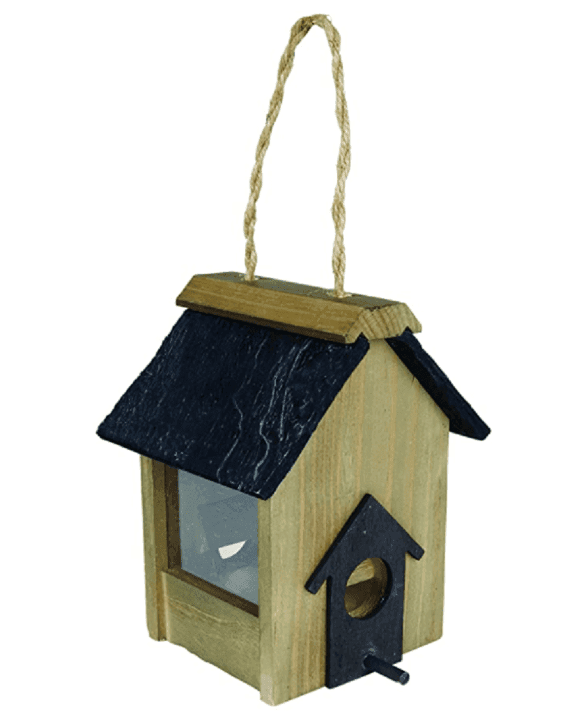 Ernest Charles Seed Feeder