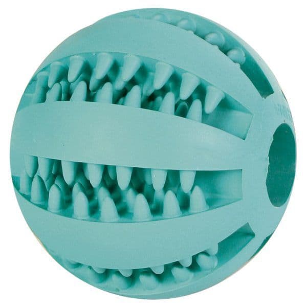 Trixie Denta fun Ball (Medium)