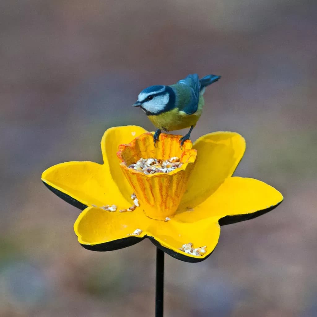 Gardman Cast Iron Daffodil Feeder Dish