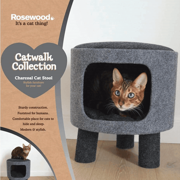 Rosewood Catwalk Collection Toronto Scratcher