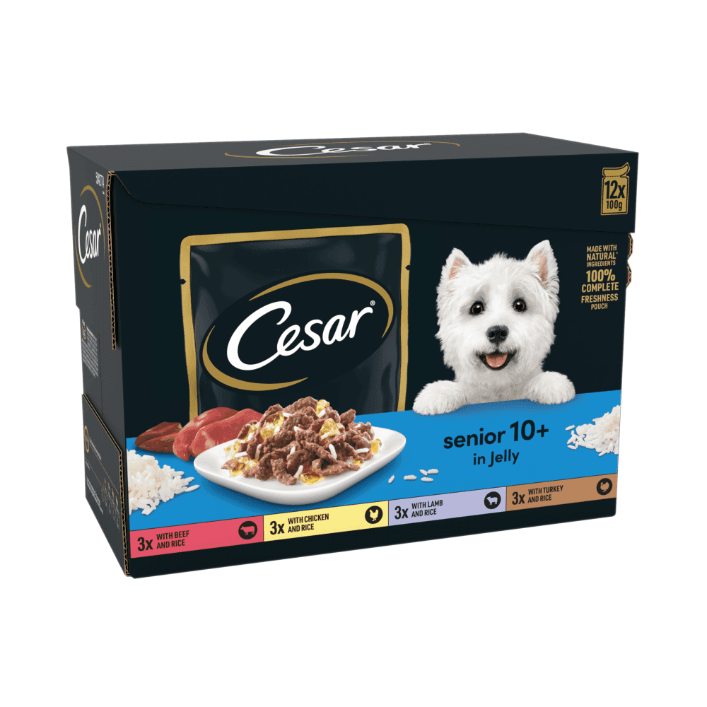 Cesar Senior 10+ Selection In Jelly (12x100g)