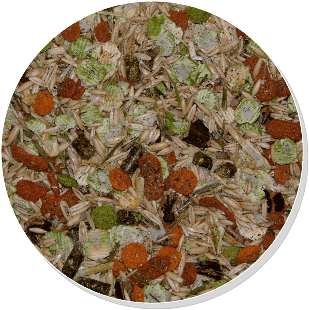 Bestpets Guinea Pig Muesli Mix (Eco/1.5kg)