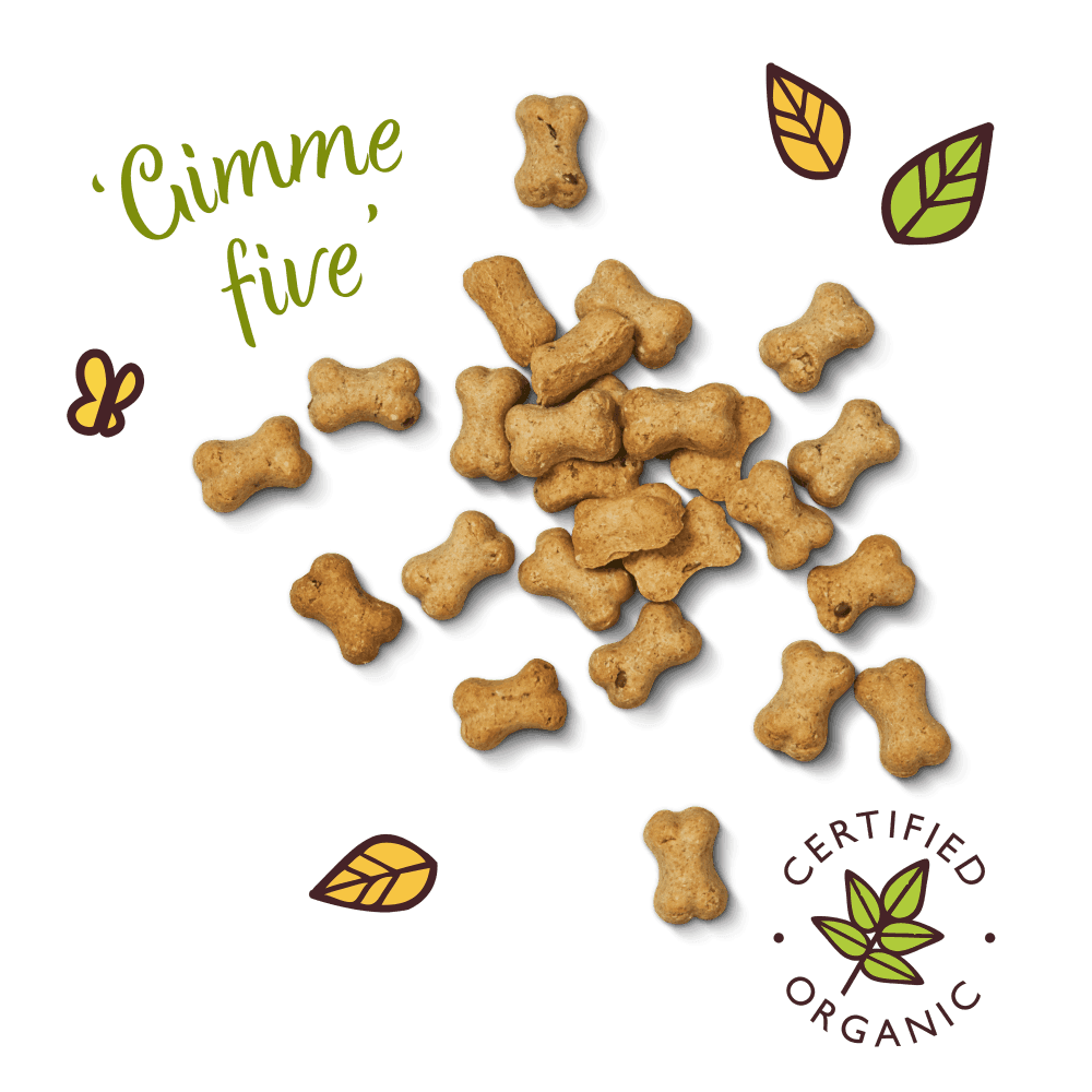 Lilys Kitchen Training Treats (80g)