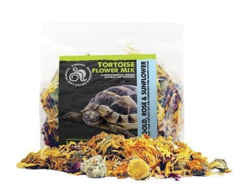 Komodo Tortoise Flower Mix (60g)