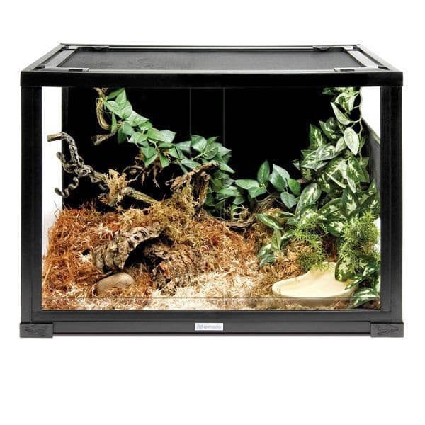 Komodo Advanced Kit Adult Corn Snake