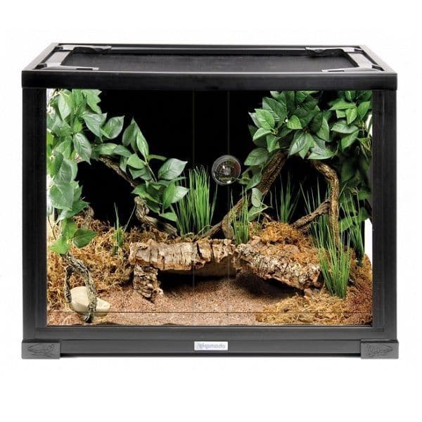 Komodo Advanced Kit Leopard Gecko