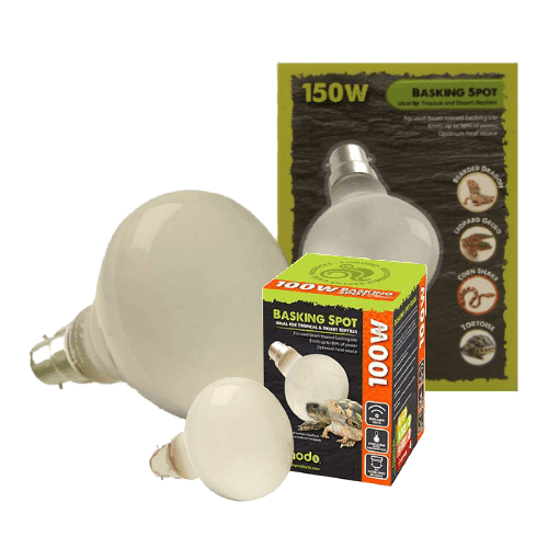 Komodo Basking Spot Bulb BC (50W)