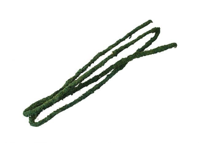 Komodo Tropical Vine - Large (1.8mx20mm)