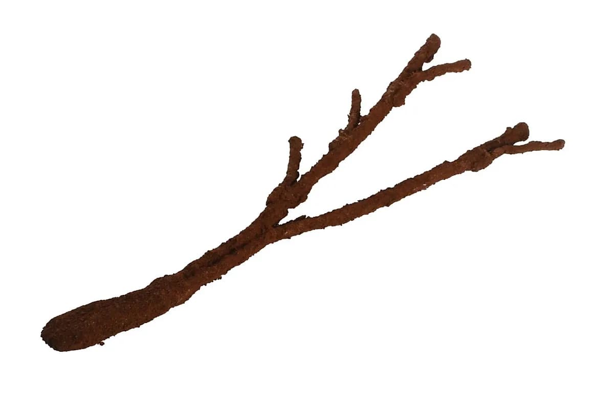 Komodo Tropical Vine Branch - (Small)