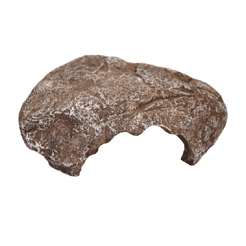 Komodo Wide Entrance Rock Den - (Small)