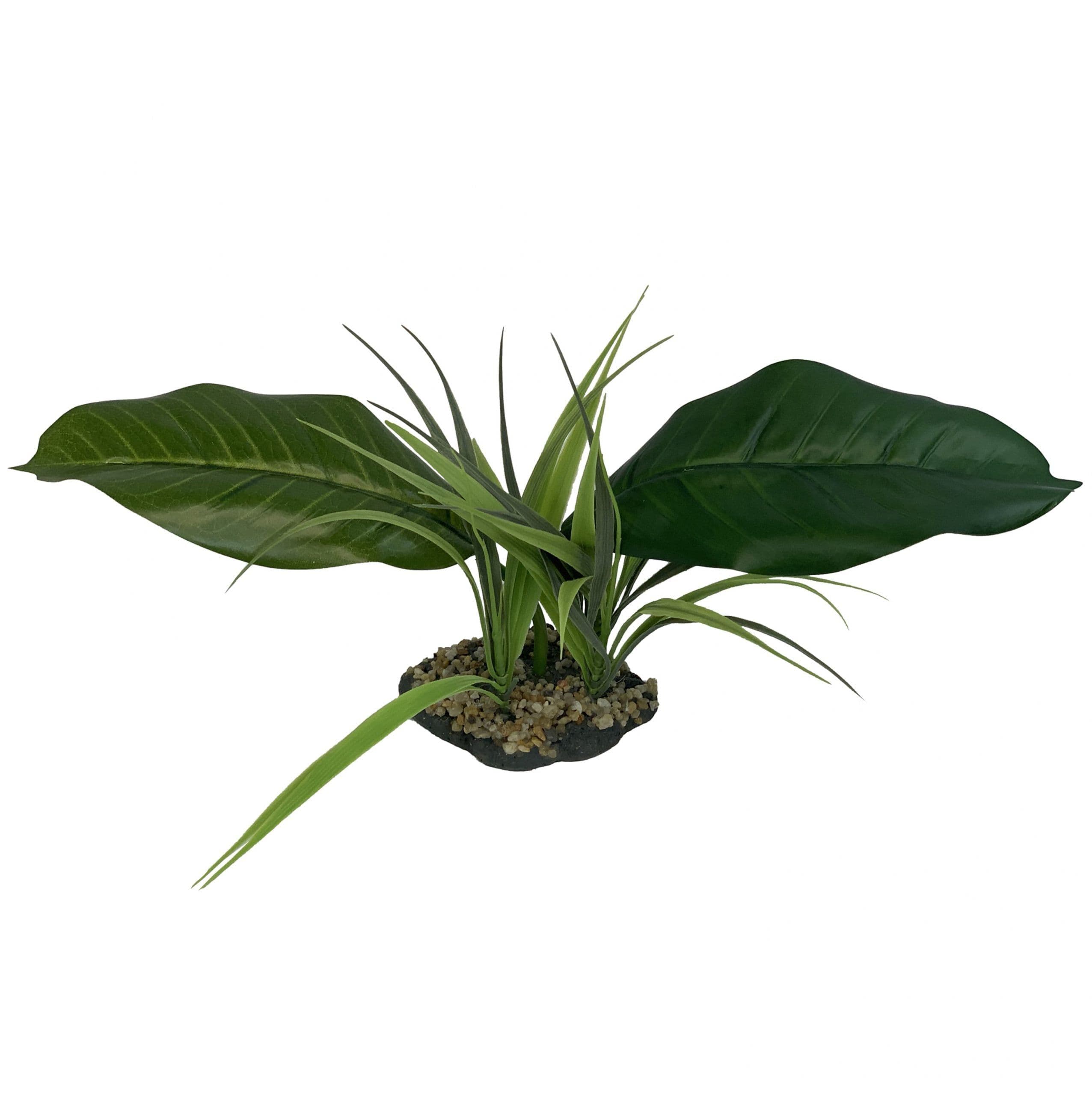 Komodo Woodland Canopy (42cm)