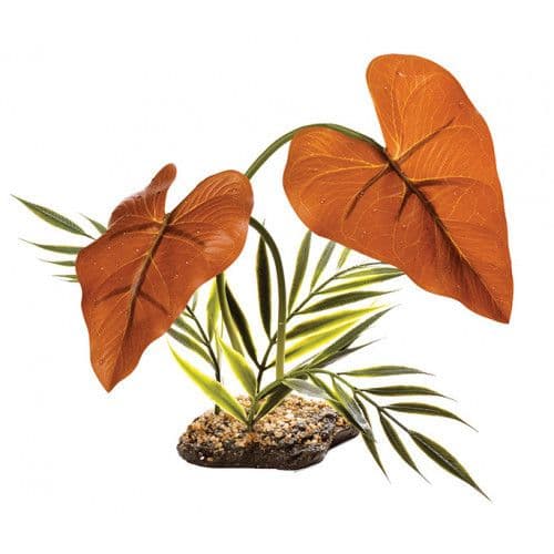 Komodo Rainforest Canopy (38cm)