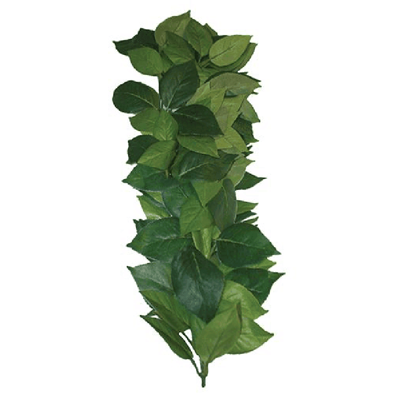 Komodo Ficus Silk Vine (35cm)