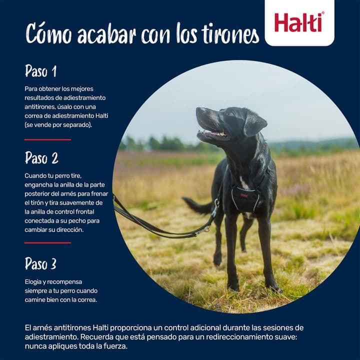 Company of Animals HALTI No Pull Harness (Small)