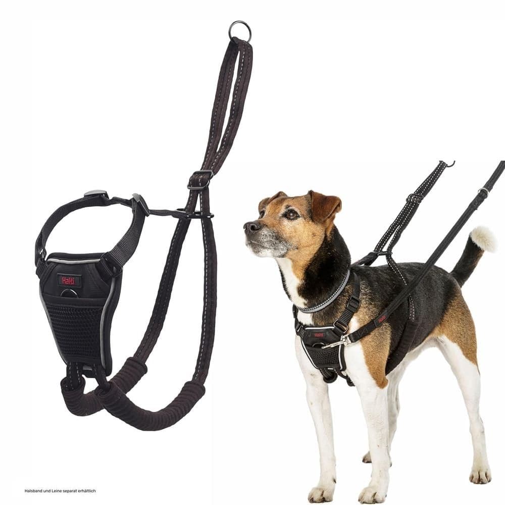 Company of Animals Non-Pull Harness Black (Medium)