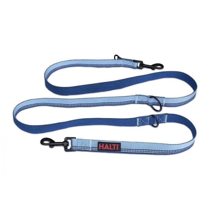 Company of Animals HALTI Active Lead Blue (Large)
