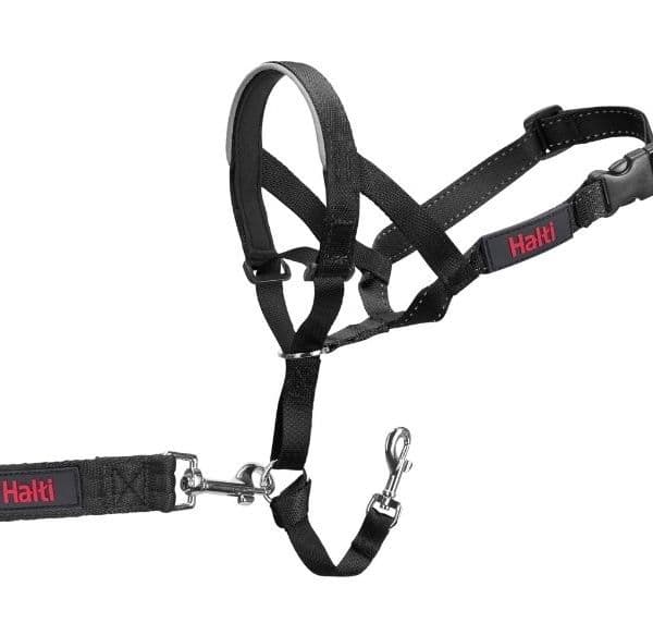 Company of Animals HALTI Collar Black (X-Small)