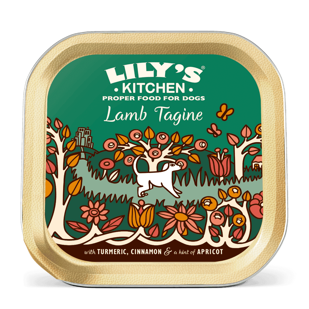 Lilys Kitchen Lamb Tagine (150g)