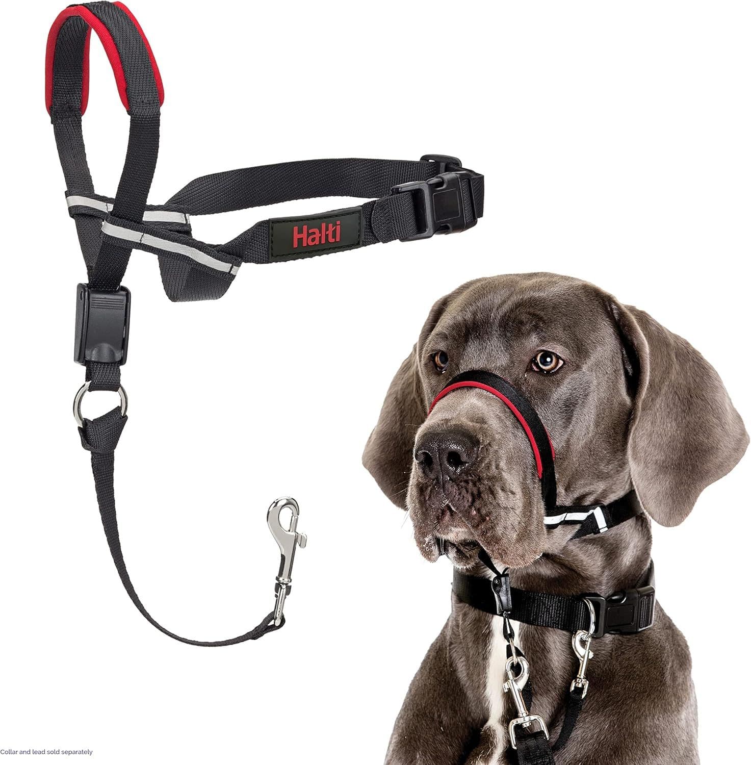 Company of Animals HALTI Collar Black (Large)