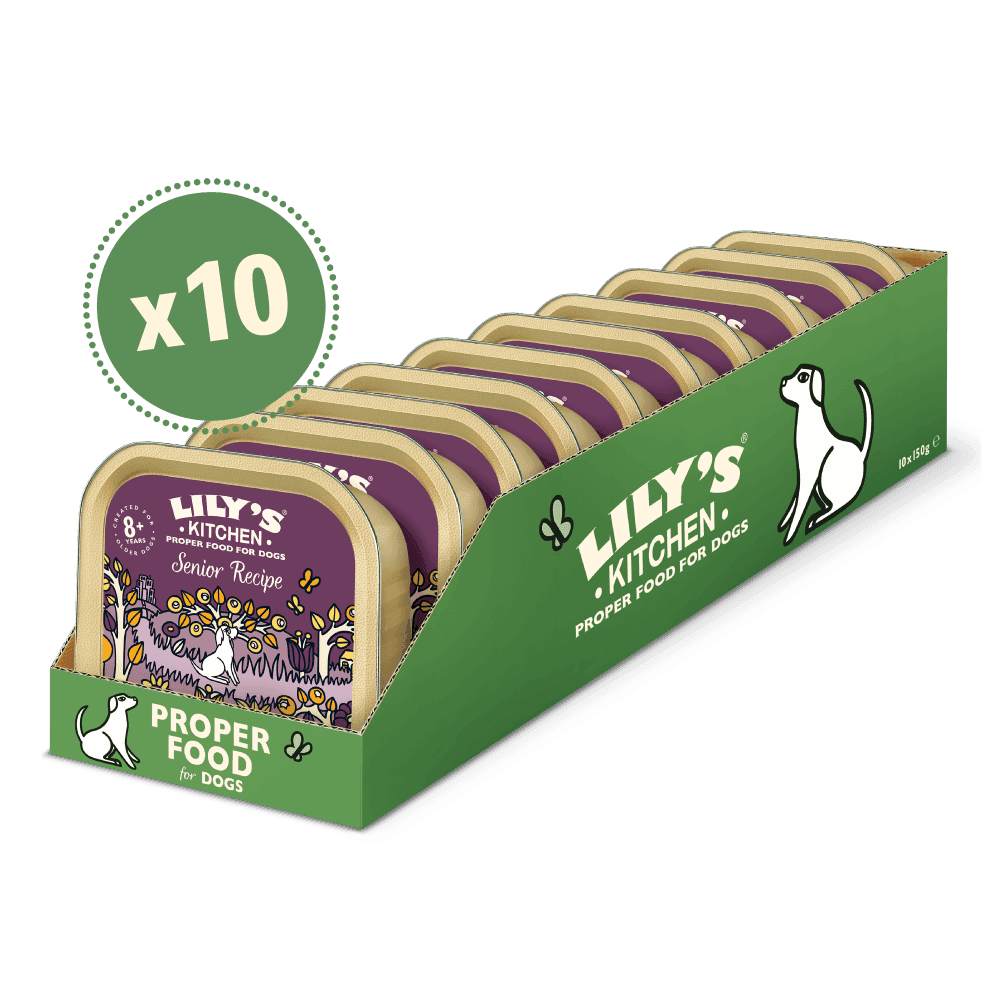Lilys Kitchen Senior Recipe (150g)