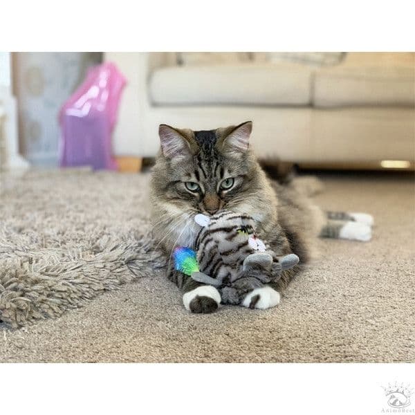 Rosewood Reversible Moody Moggy Grab Toy