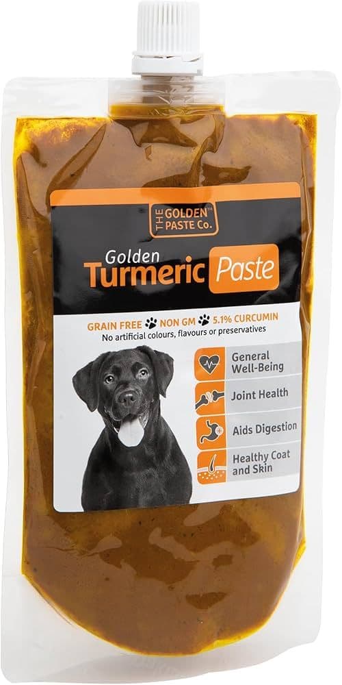 The Golden Paste Co Golden Turmeric Paste (100g)