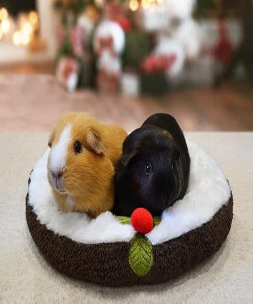 Rosewood Christmas Pudding Snuggle Bed