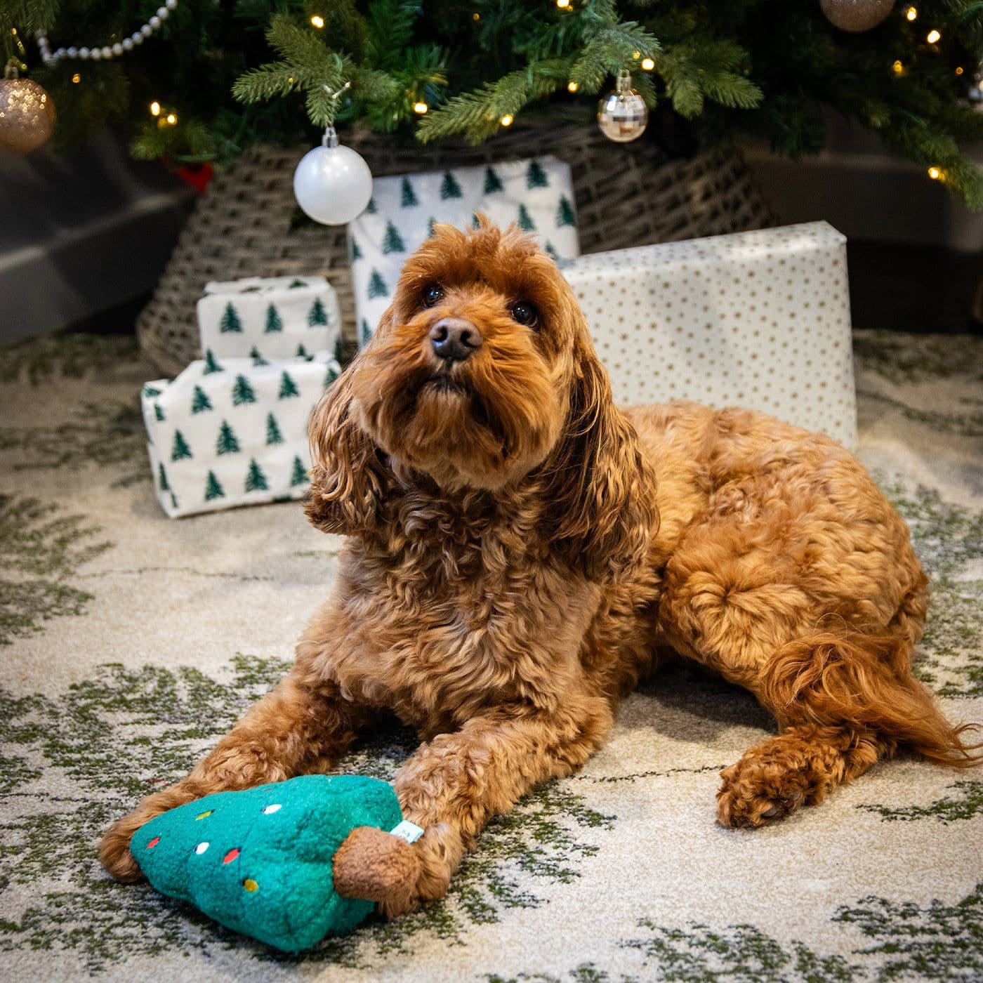 Rosewood Christmas Croissant Dog Toy