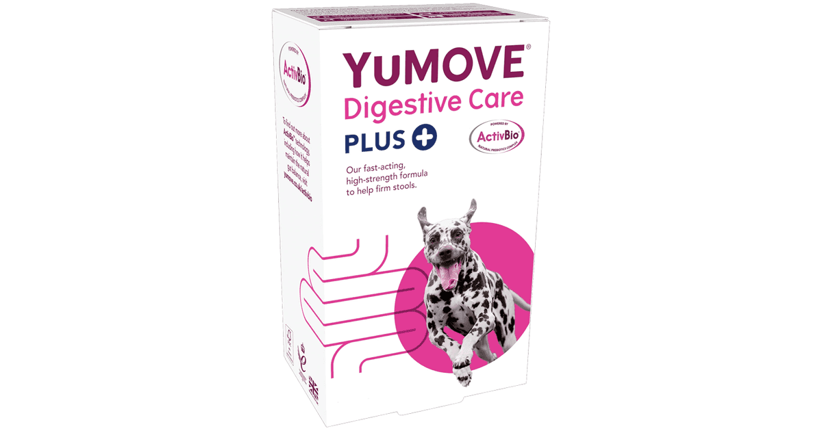 Lintbells Yumove Digestive Care Plus (6 Sachets)
