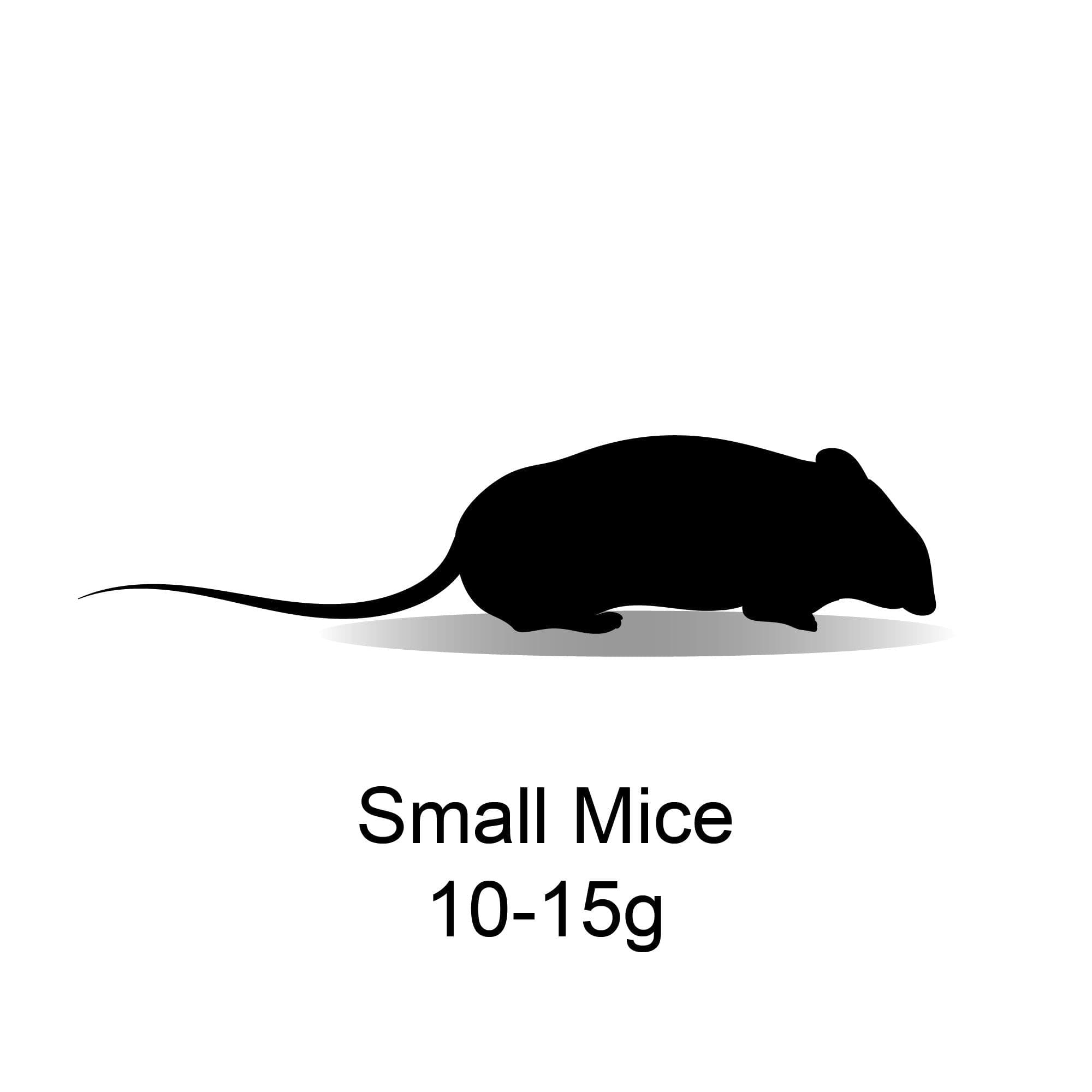 Small Mice (10-15g)