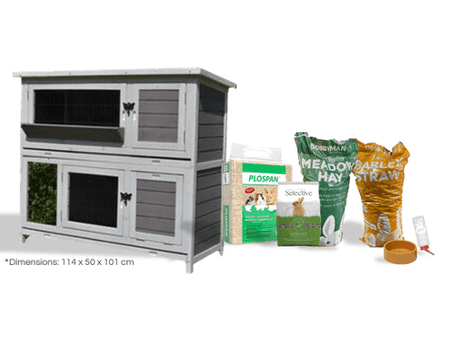 Ascot Rabbit Hutch