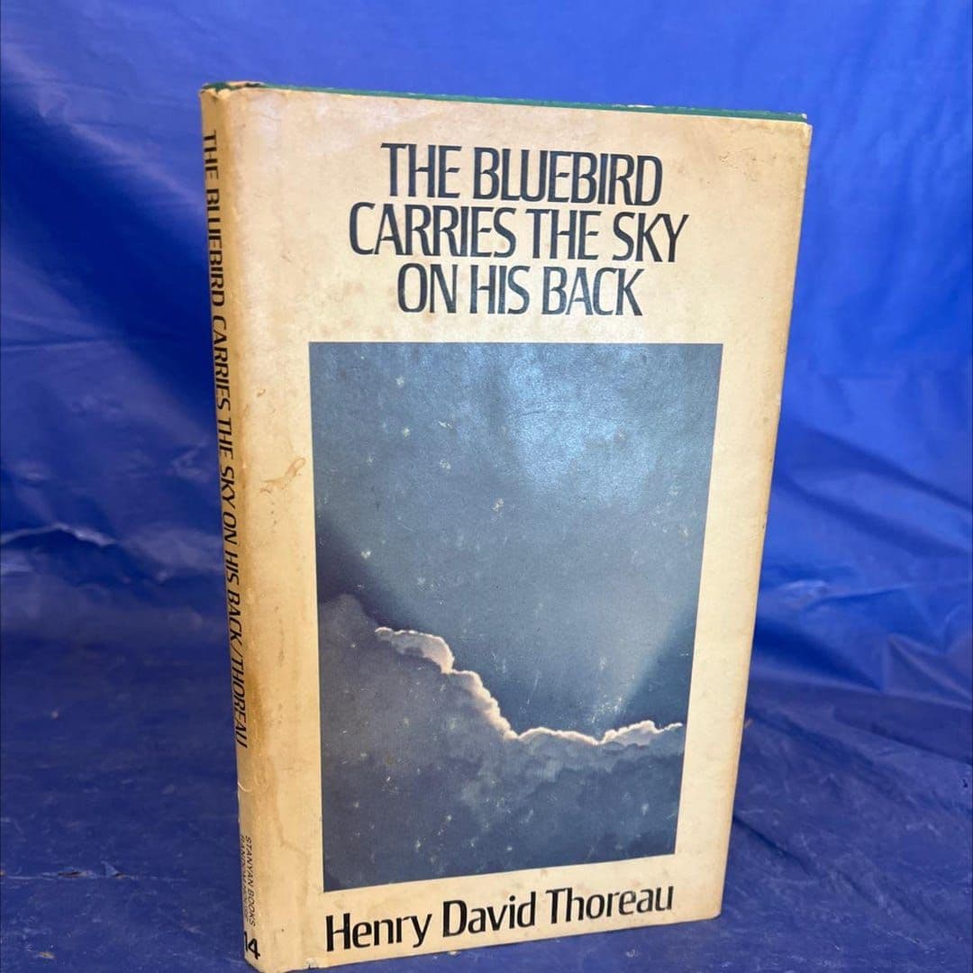 Henry (Blue)