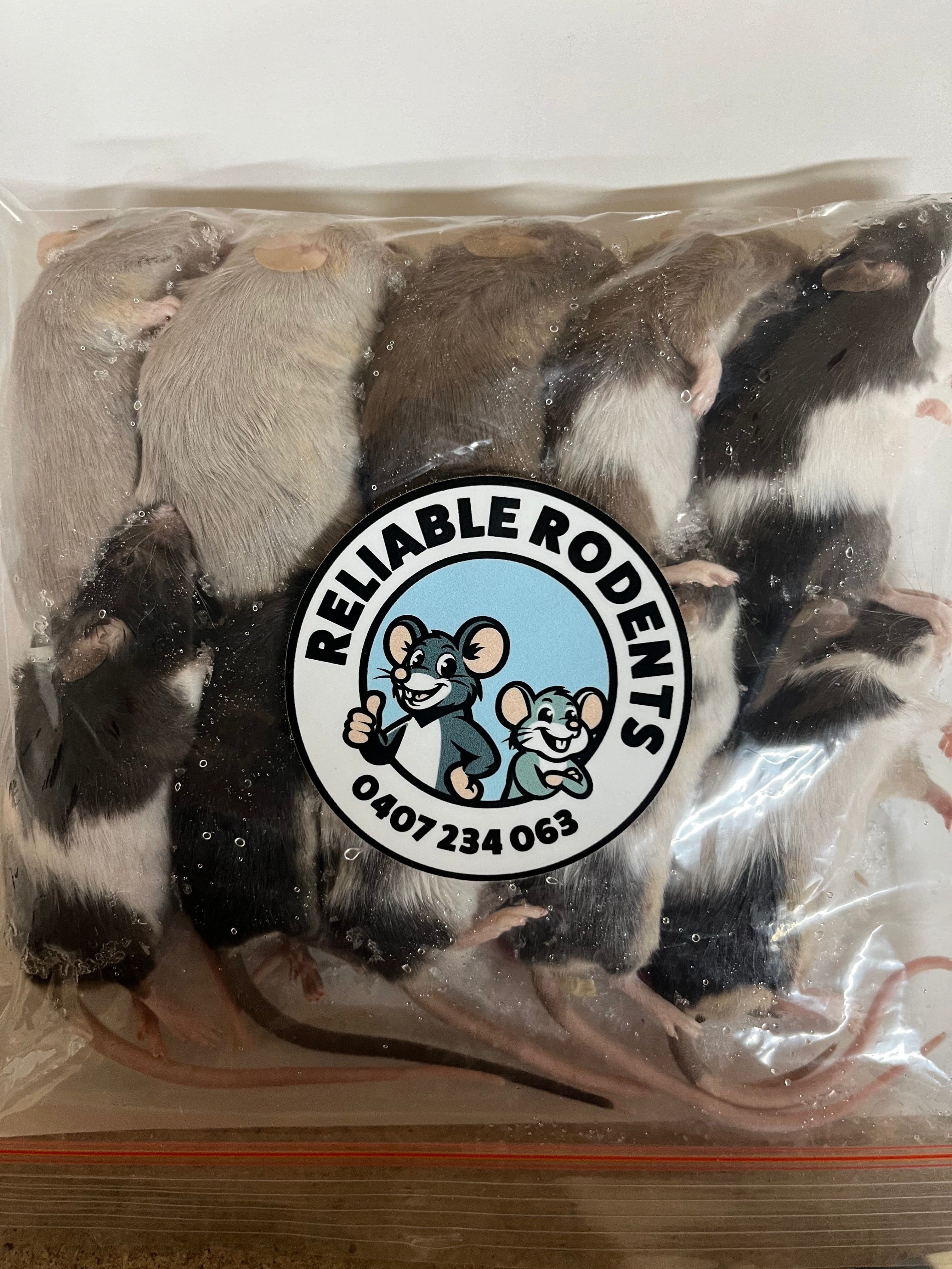 Large Mice