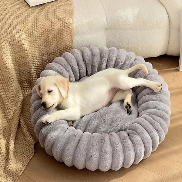 Donut Bed Small (Grey)