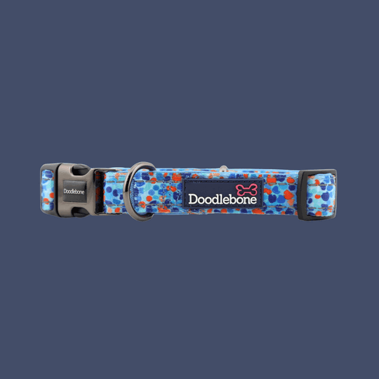 Doodlebone Padded Collar, Reef, 3-6