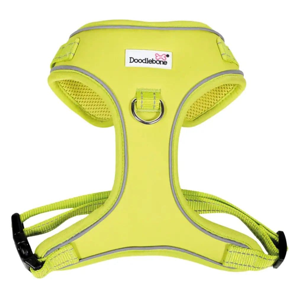 Doodlebone Adjustable Airmesh Harness, Citrus, 3-5