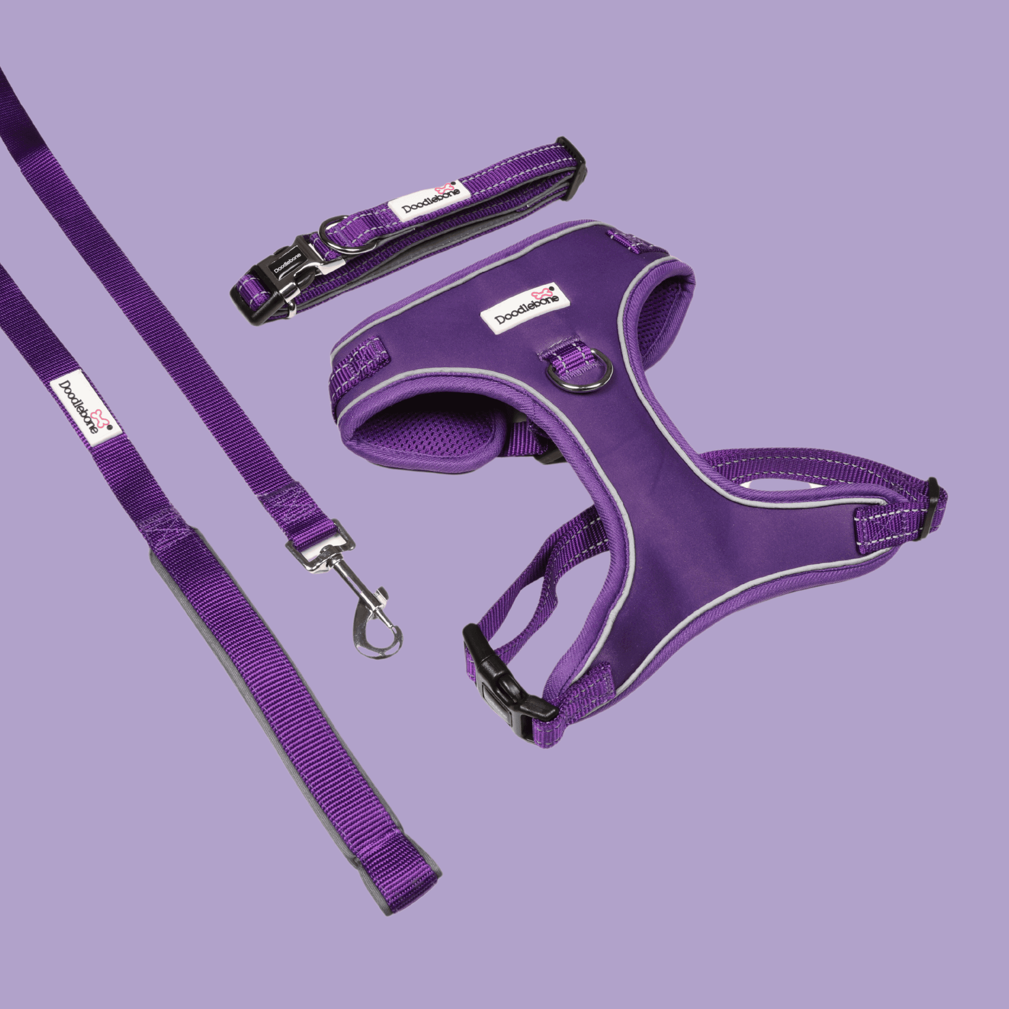 Doodlebone Padded Collar, Violet, 1-2