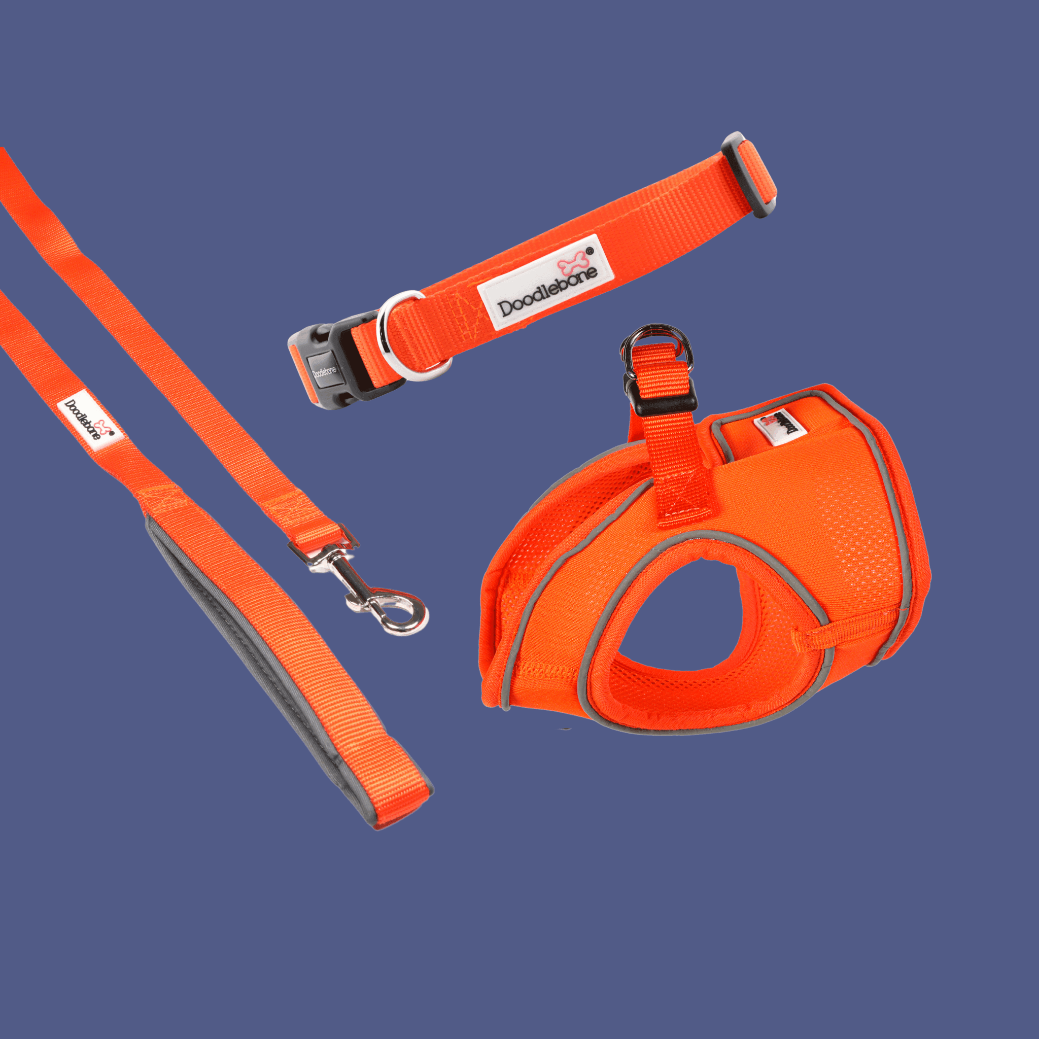 Doodlebone Snappy Harness, Tangerine, 2