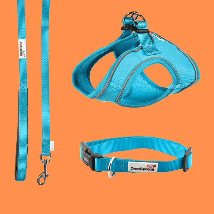 Doodlebone Snappy Harness, Aqua, 4