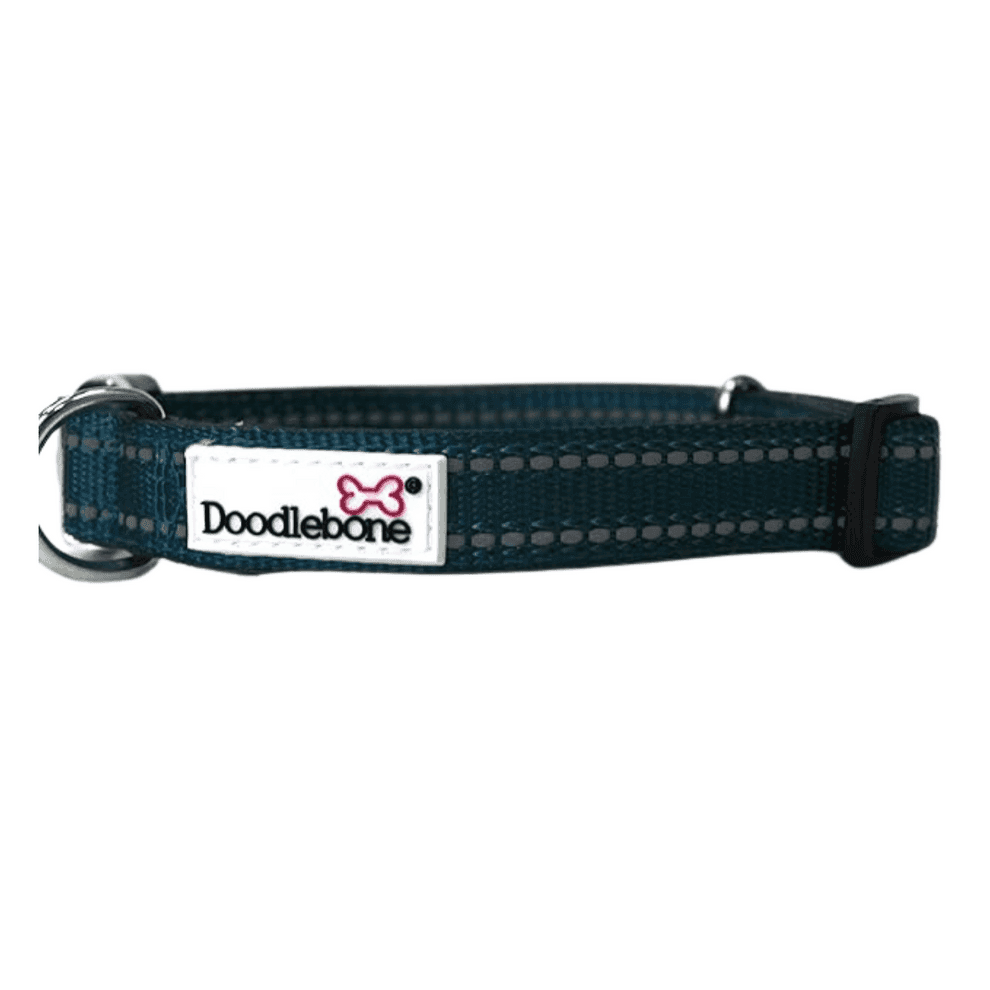 Doodlebone Padded Collar, Teal, 6-11