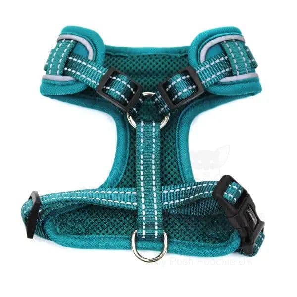 Doodlebone Adjustable Airmesh Harness, Teal, 1-2