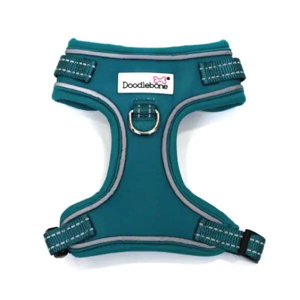 Doodlebone Adjustable Airmesh Harness, Teal, 6-9