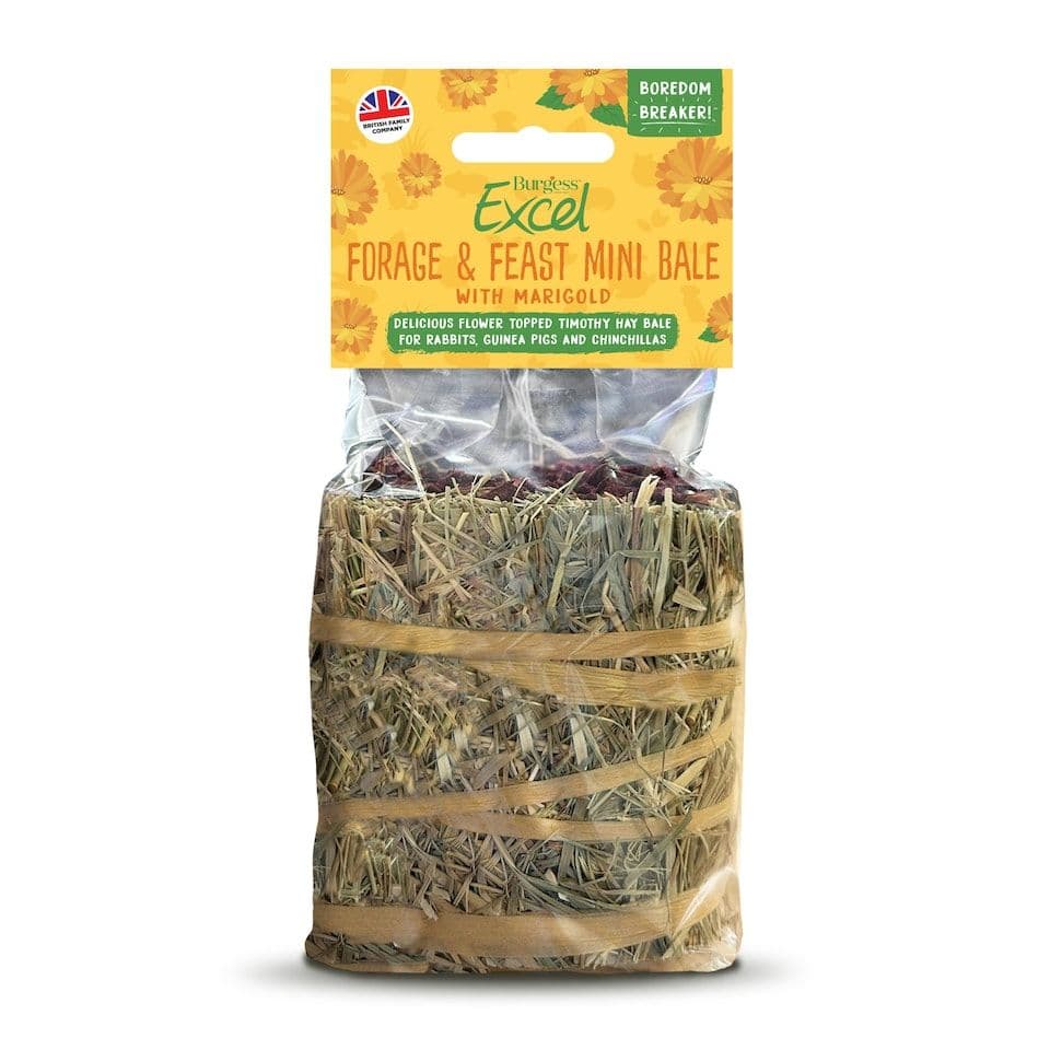 Burgess Excel Forage & Feast Mini Hay Bale with Marigold (100g)