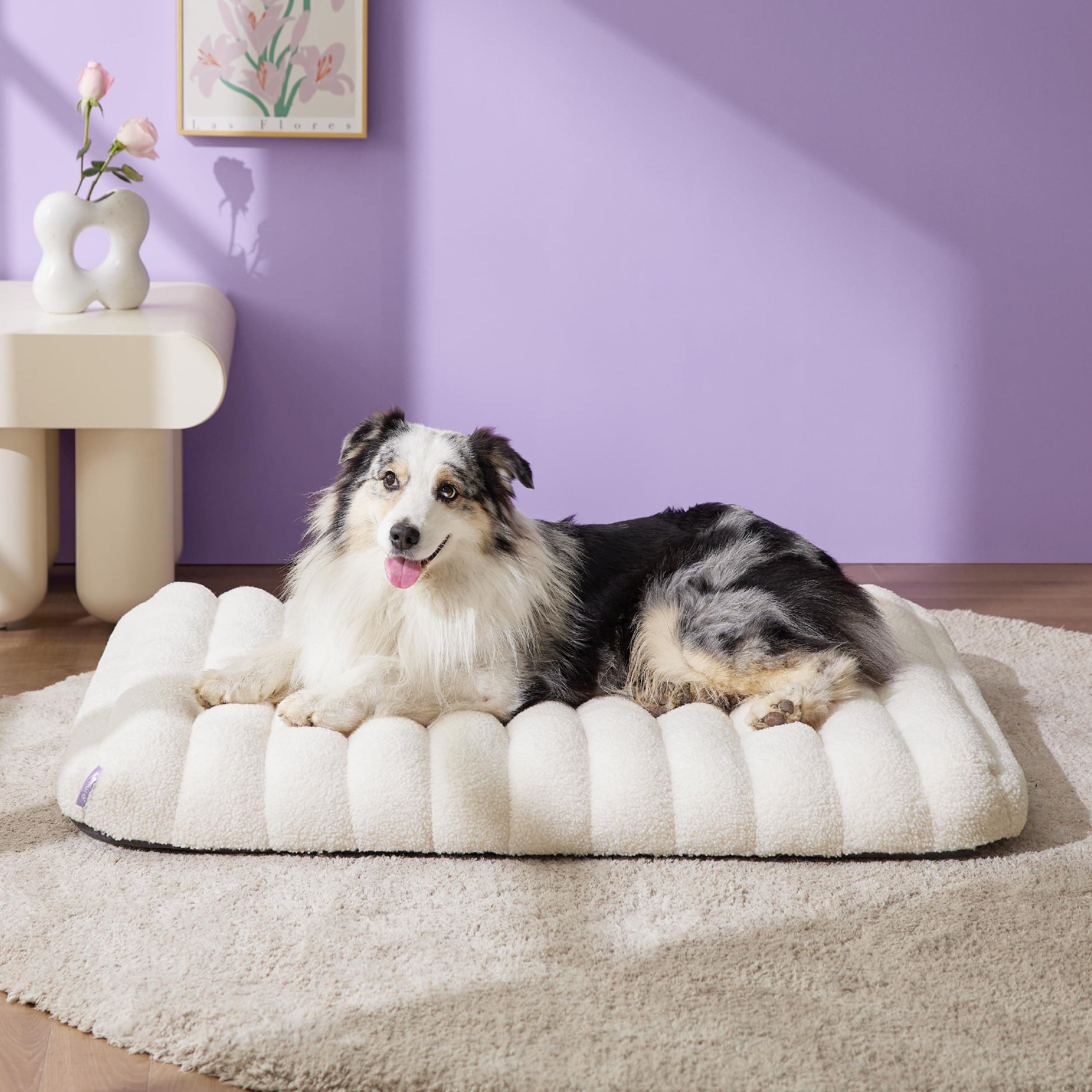 Waterproof Flat Dog Bed (Medium)