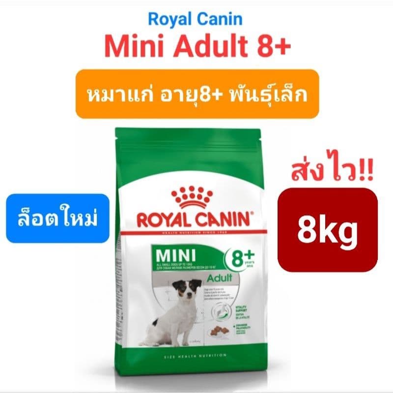 Royal Canin Mini Adult 8+ (8kg)