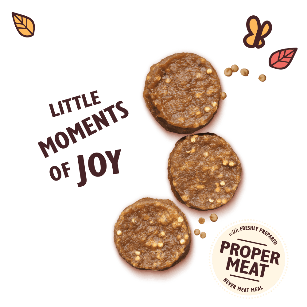 Lilys Kitchen Chomp Away Chicken Bites (70g)