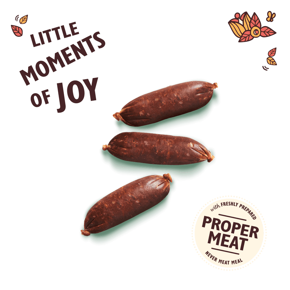 Lilys Kitchen Dog Cracking Pork & Apple Sausages (70g)