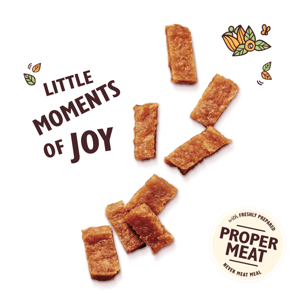Lilys Kitchen Chicken & Salmon Nibbles Puppy Treats (70g)