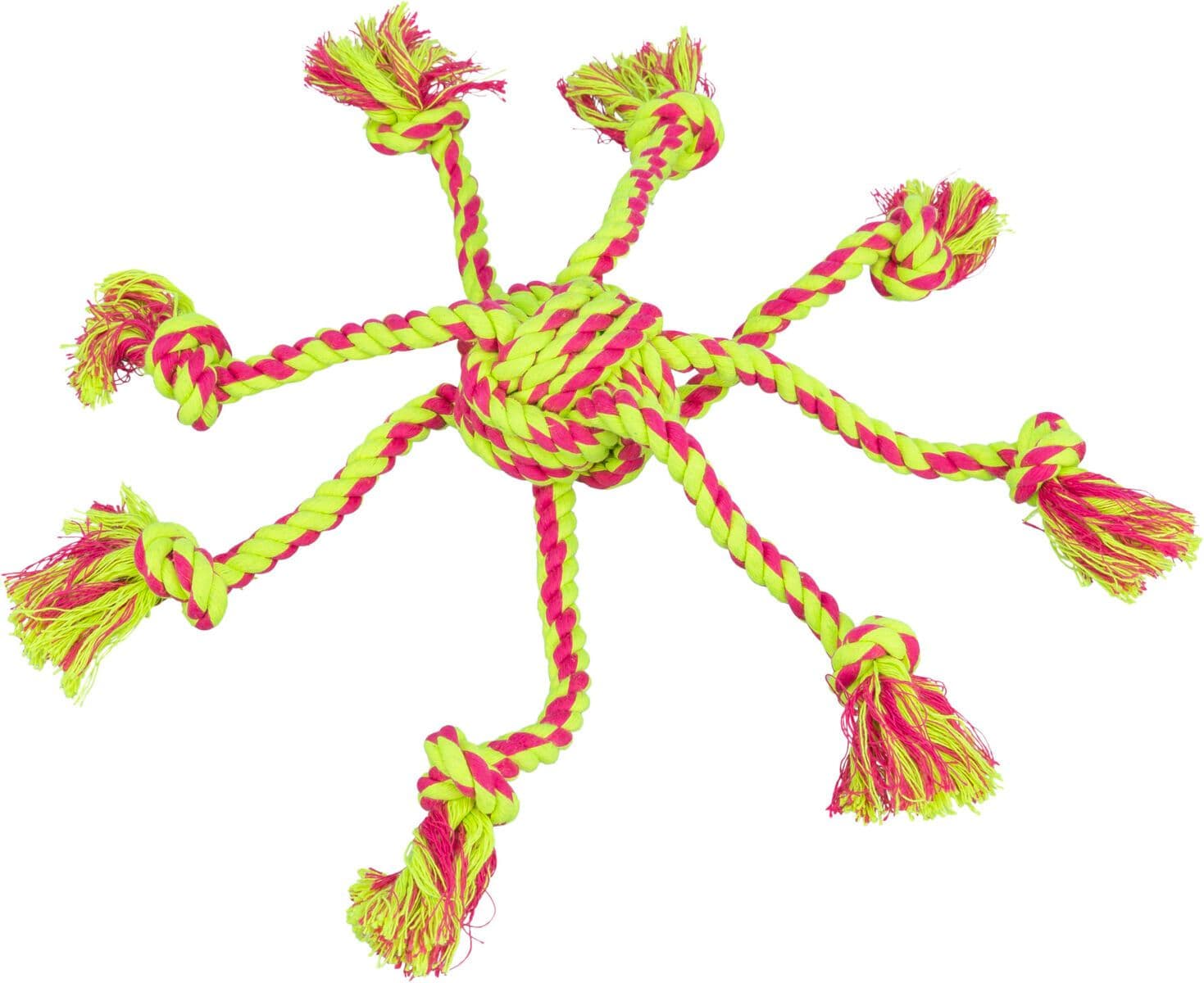 Trixie Rope Toy with Woven In Ball